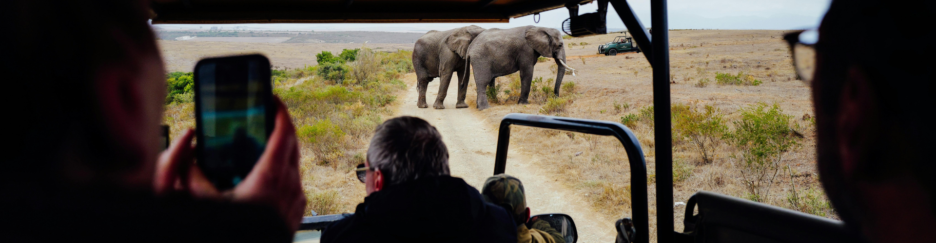 Safari na África do Sul 2028