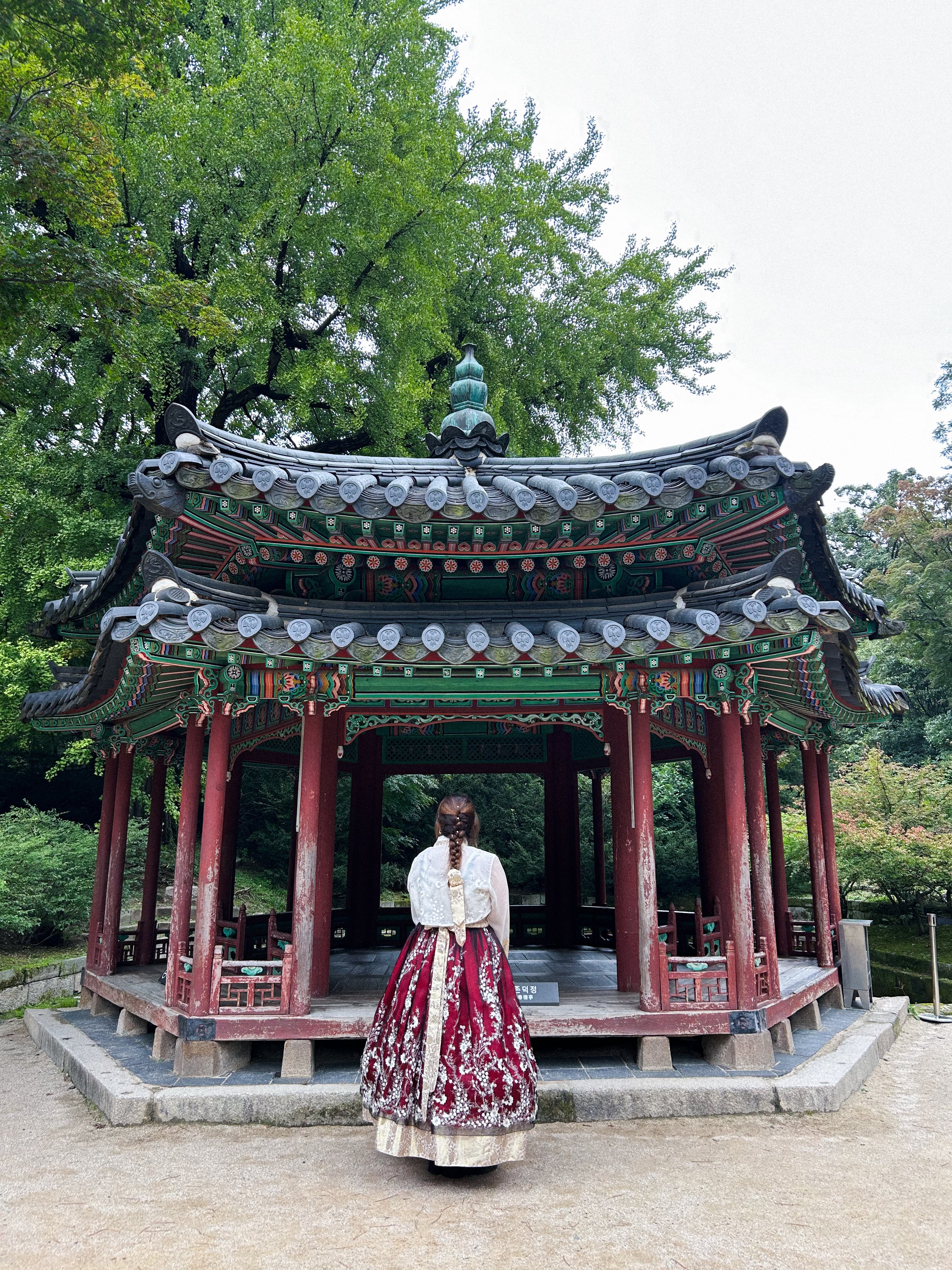 Experience Coreia do Sul - By Joana  
